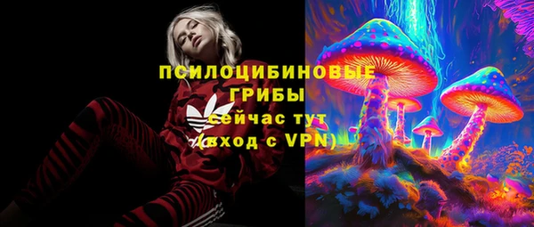 мяу мяу мука Кулебаки