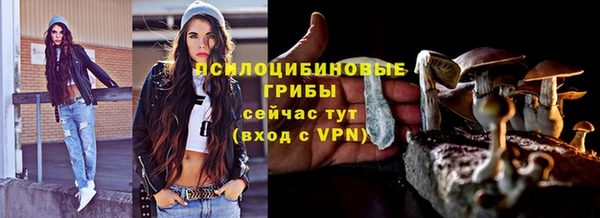 гидропоника Куйбышев