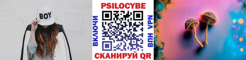 Псилоцибиновые грибы MAGIC MUSHROOMS  Купить закладки  Венёв 